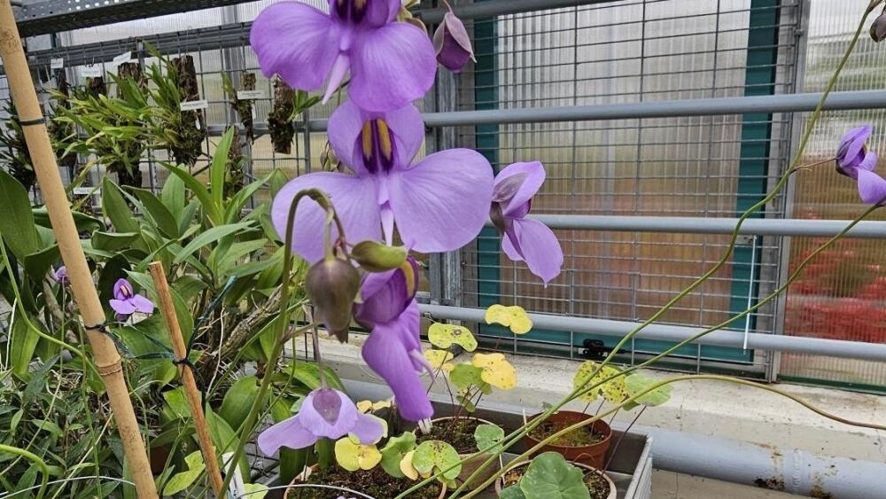 Foto - zdroj: www.kraj-lbc.cz